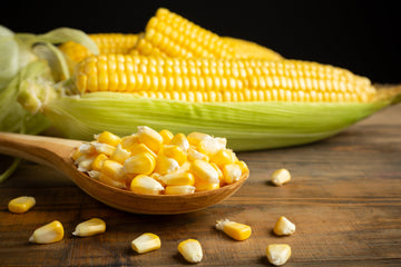 🌽 Los beneficios del maíz inflado a vapor: una opción saludable que no sabías que necesitabas